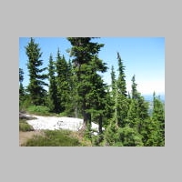 16July2014 VistaRidgeTrail 016.jpg